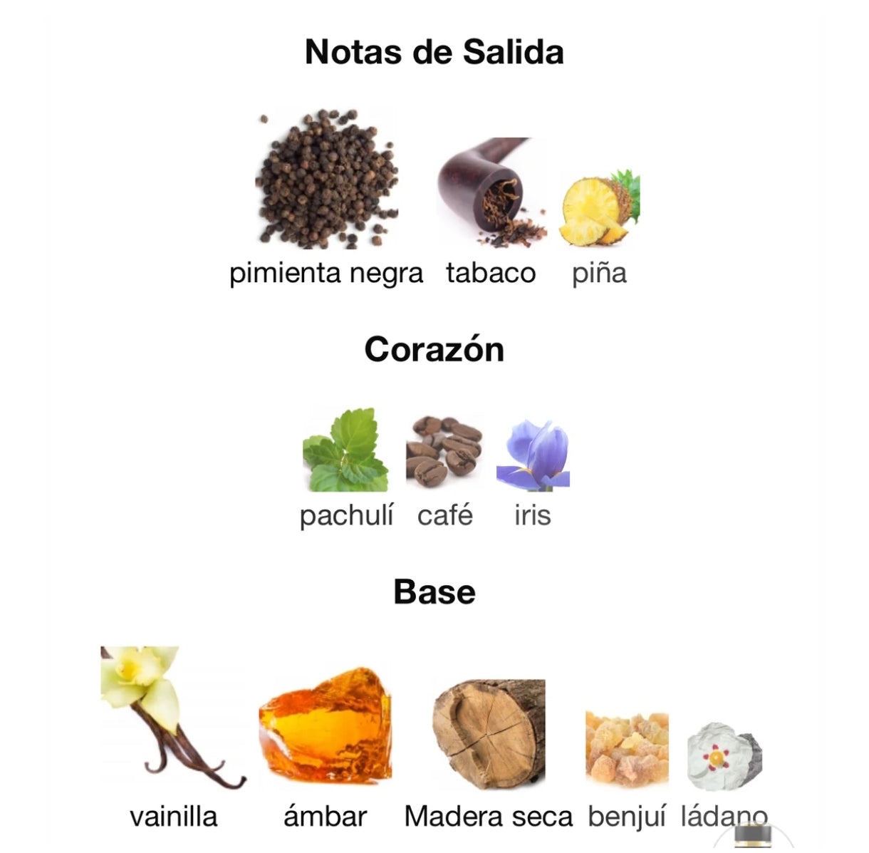 Yara Asad de Lattafa Perfumes