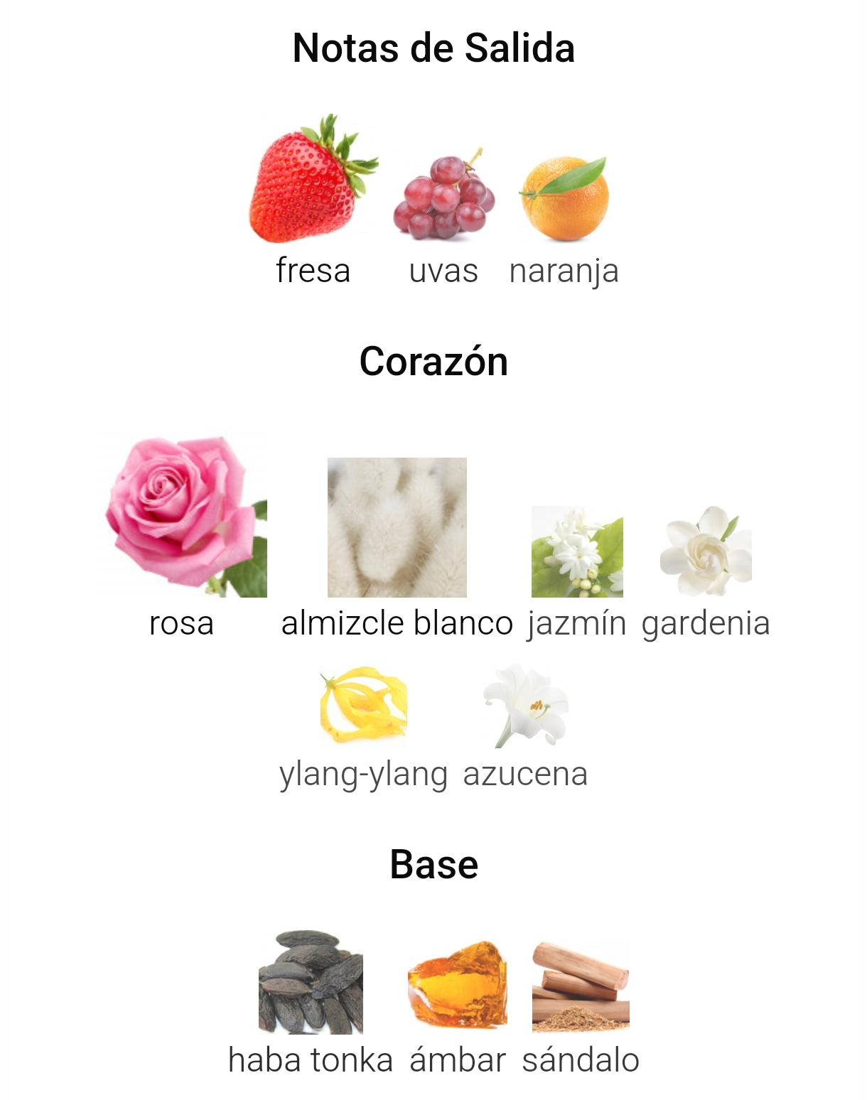 Ameerat Al Arab Prive Rose de Asdaaf