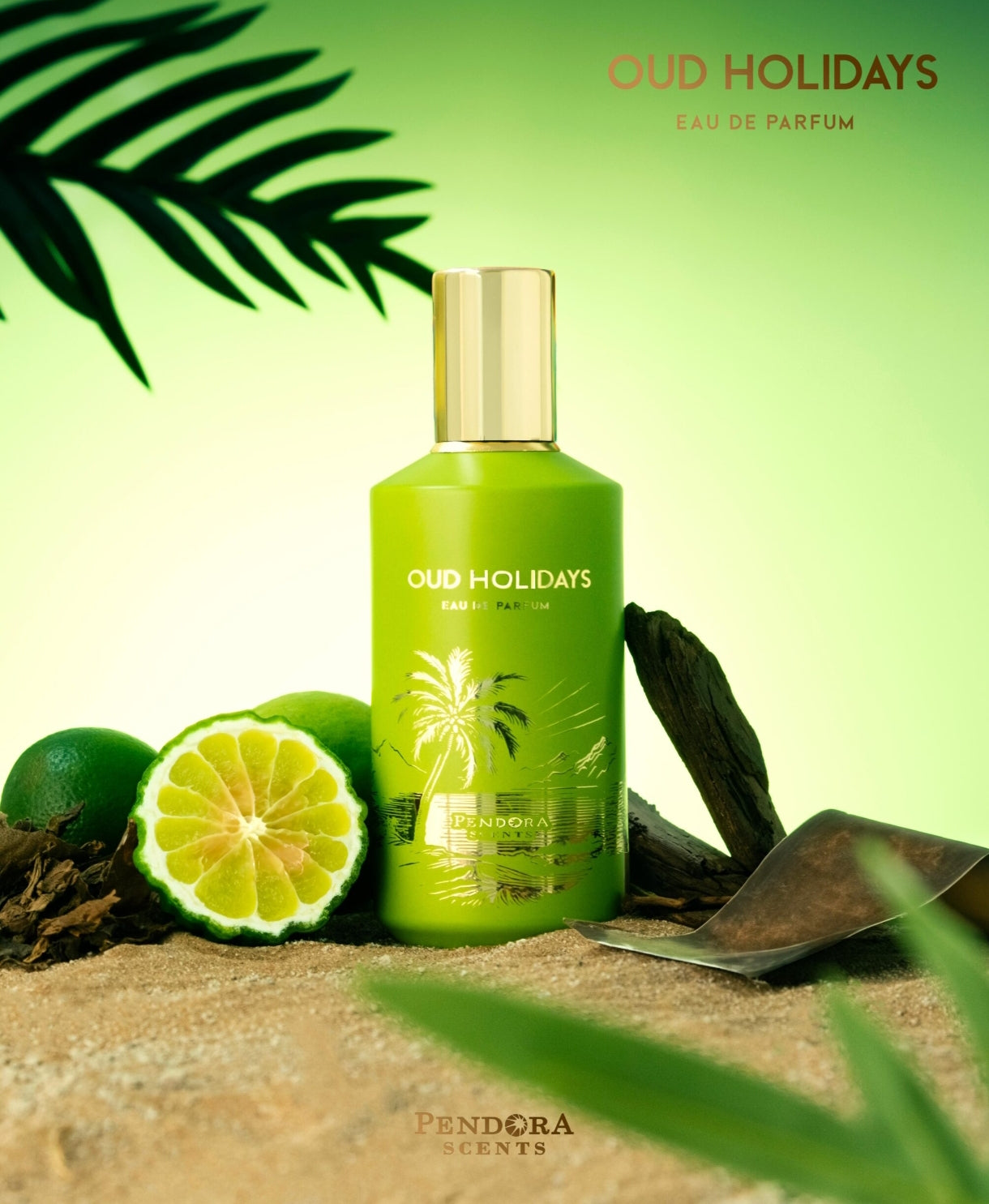 Oud Holidays de Paris Corner