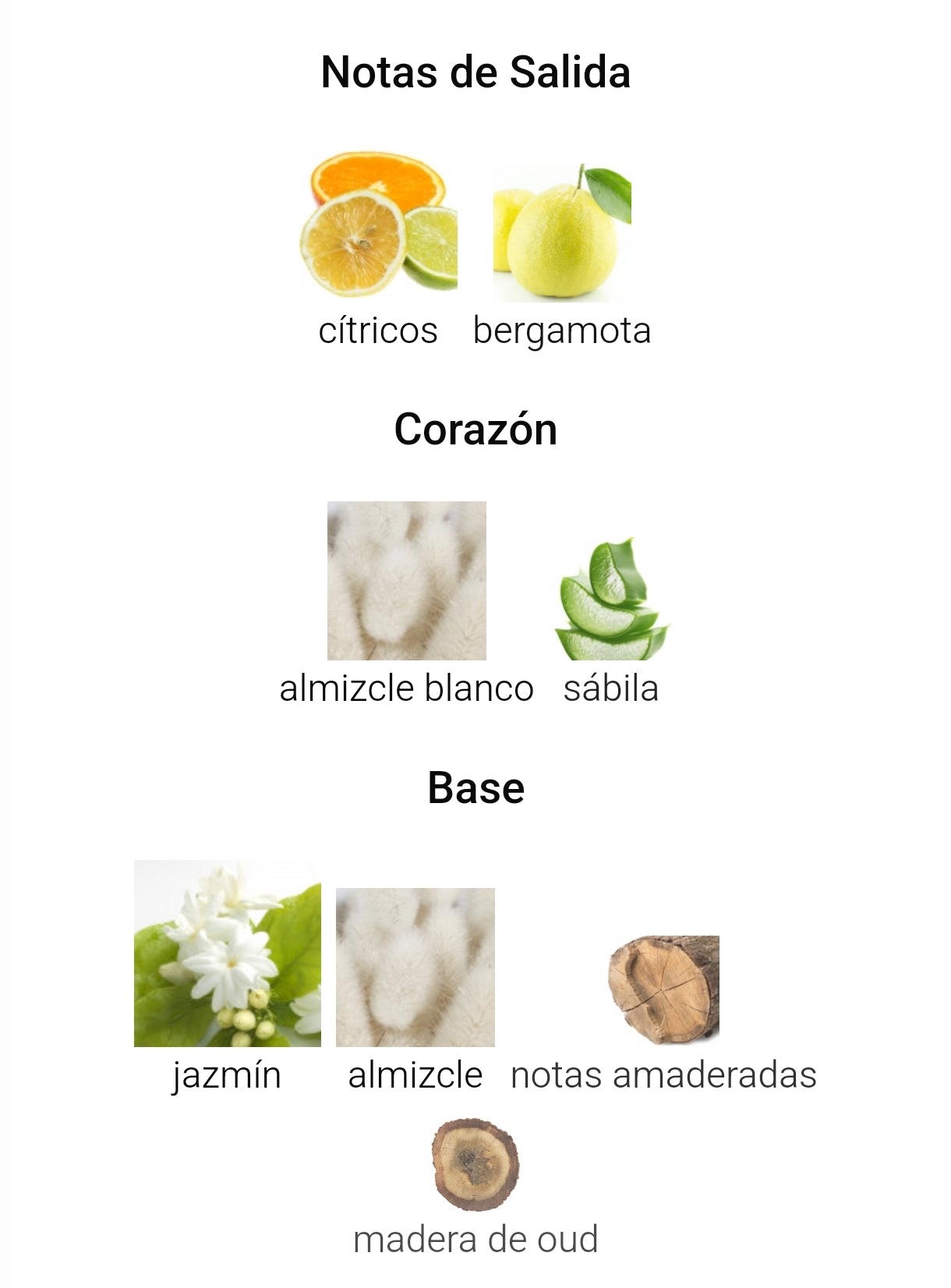 Ameerat Al Arab de Asdaaf