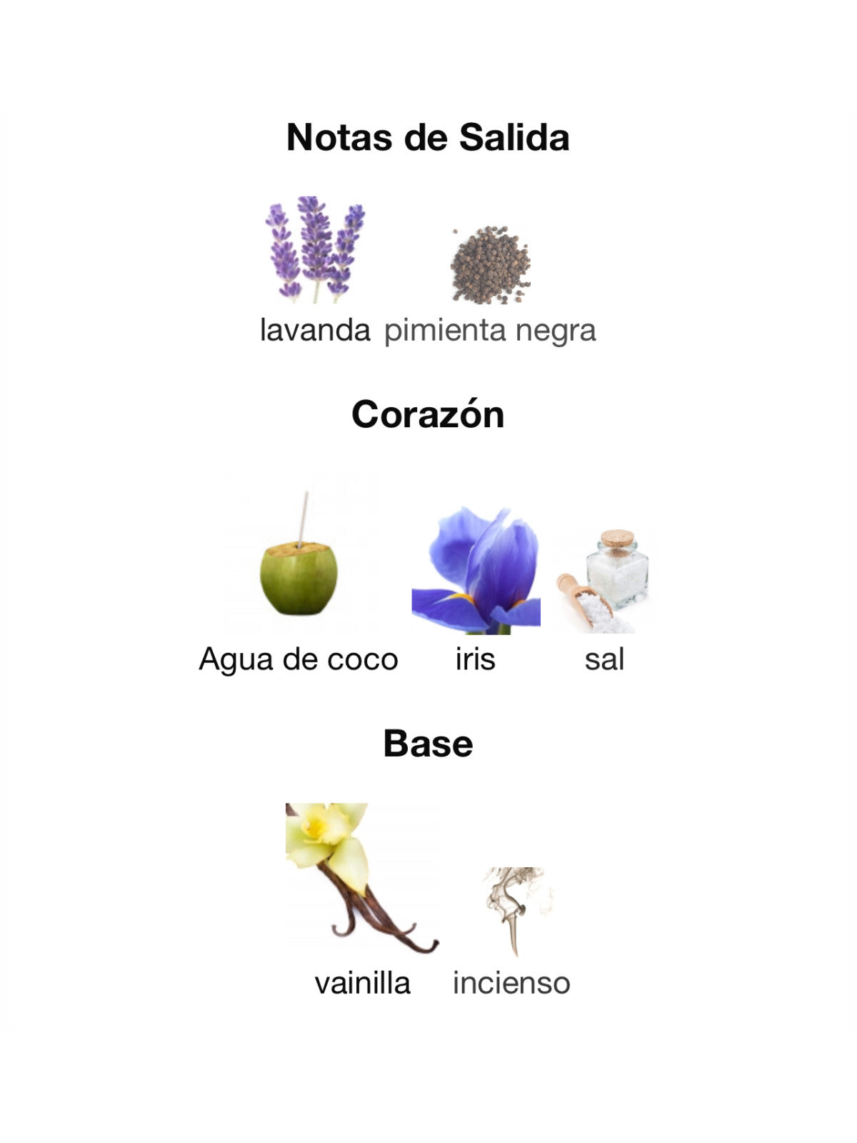 Yara Asad Zanzibar de Lattafa